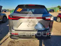 2024 Lexus NX photo