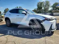 2024 Lexus NX фото
