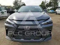 2024 Lexus NX фото