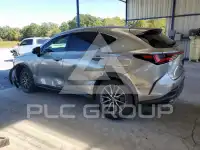 2024 Lexus NX фото