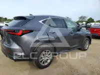 2024 Lexus NX фото