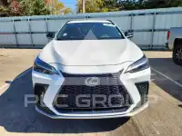 2024 Lexus NX фото