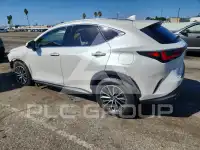 2024 Lexus NX фото