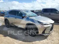 2024 Lexus NX фото
