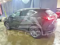 2024 Lexus NX photo