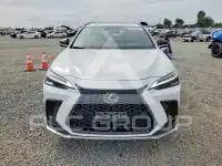 2024 Lexus NX фото