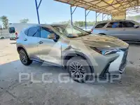 2024 Lexus NX photo