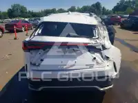 2024 Lexus NX photo