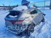 2024 Lexus NX photo