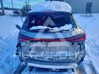 2024 Lexus NX photo
