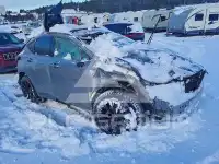 2024 Lexus NX photo