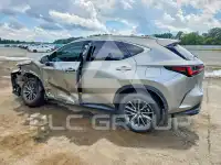2024 Lexus NX photo