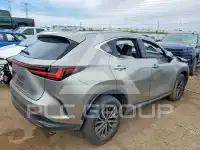 2024 Lexus NX250 фото