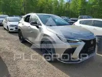 2024 Lexus NX фото