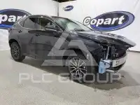 2024 Lexus NX фото