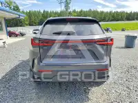 2024 Lexus NX photo