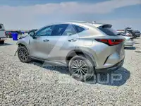 2024 Lexus NX photo