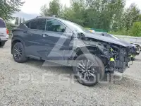 2024 Lexus NX фото
