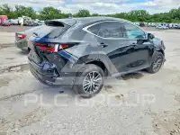 2024 Lexus NX фото