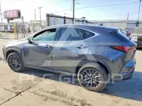 2024 Lexus NX фото