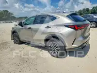 2024 Lexus NX фото