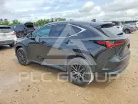 2024 Lexus NX фото