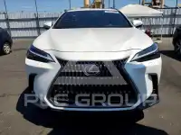 2024 Lexus NX фото