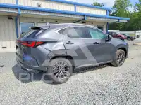 2024 Lexus NX photo