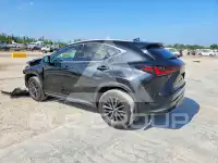 2024 Lexus NX фото