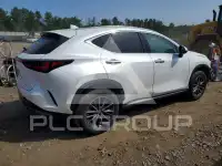 2024 Lexus NX photo
