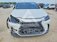 2024 Lexus NX250 фото