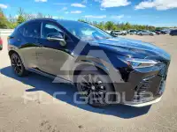 2024 Lexus NX photo