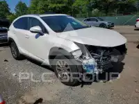 2020 Lexus NX фото
