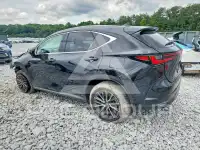 2024 Lexus NX250 photo