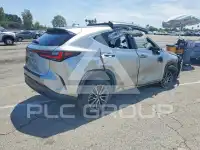 2024 Lexus NX фото