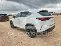 2024 Lexus NX фото