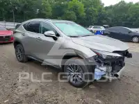 2024 Lexus NX фото