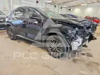 2024 Lexus NX250 фото