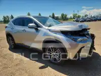 2024 Lexus NX фото