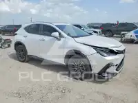 2024 Lexus NX250 фото