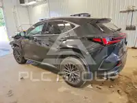 2024 Lexus NX250 фото