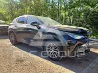 2024 Lexus NX photo