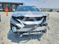2024 Lexus NX photo