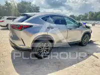 2024 Lexus NX фото