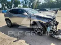 2024 Lexus NX фото