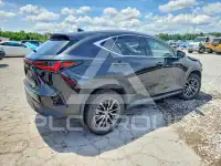 2024 Lexus NX фото
