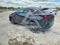 2024 Lexus NX фото