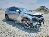 2024 Lexus NX photo