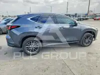 2024 Lexus NX фото