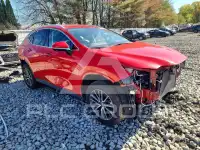 2024 Lexus NX250 фото